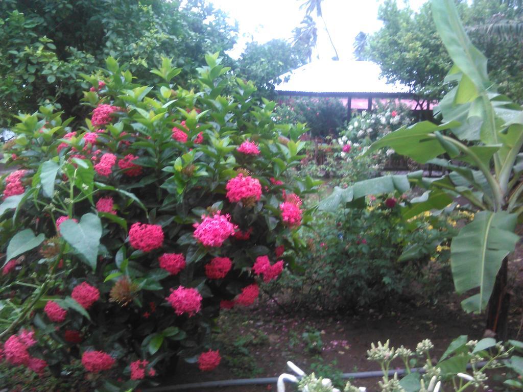 Hostal La Cascada San Ramon Mérida 外观 照片