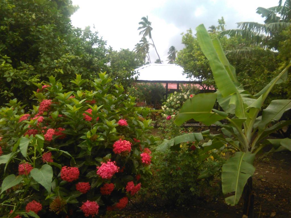 Hostal La Cascada San Ramon Mérida 外观 照片