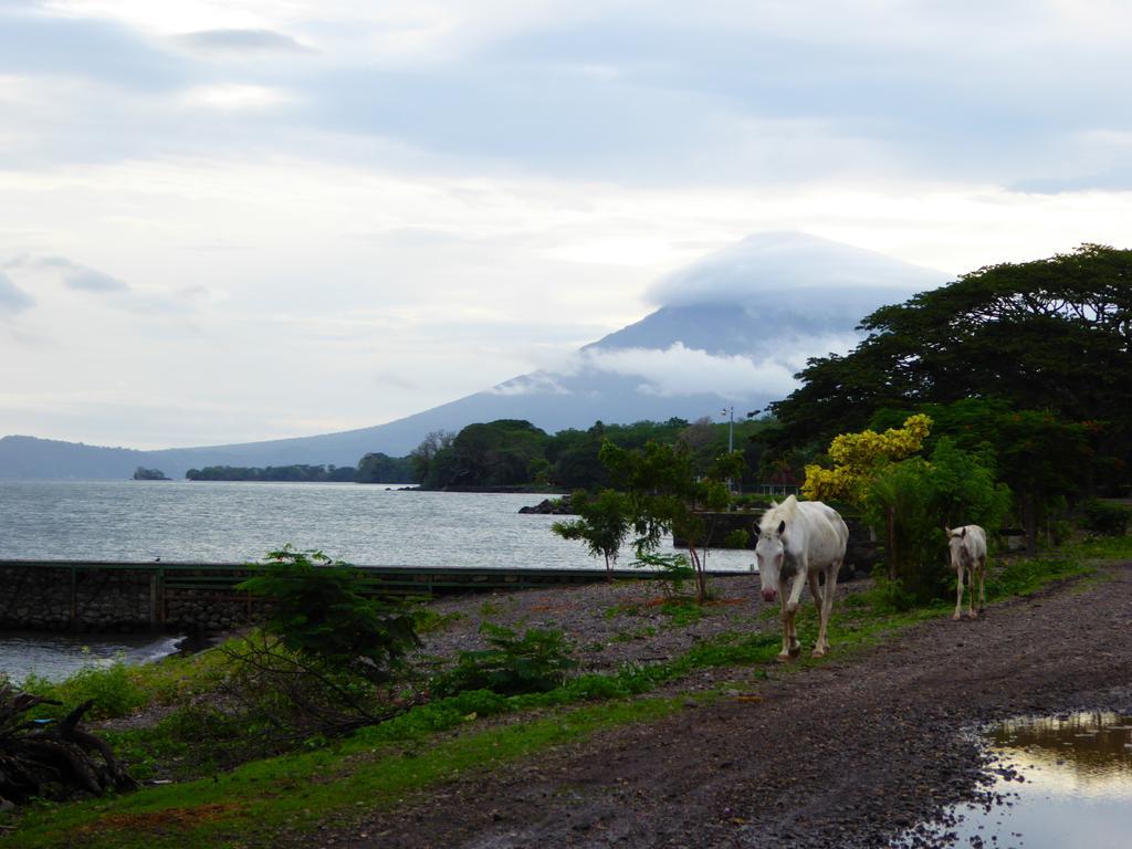 Hostal La Cascada San Ramon Mérida 外观 照片